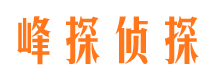 方城出轨调查